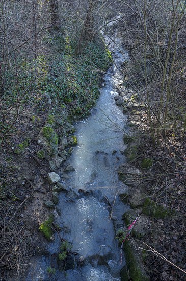 Meanderneder Muehlbach flows through the forest, Eckental, Bavaria, Germany, Europe