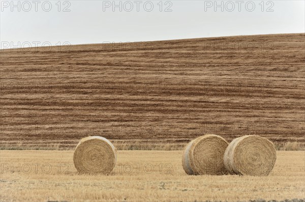 Harvested fields south of Siena, Crete Senesi, Tuscany, Italy, Europe