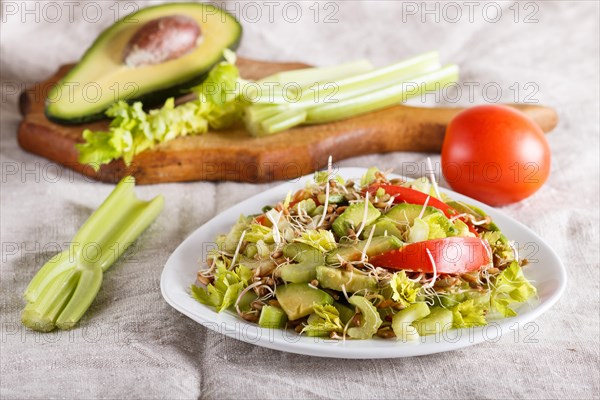 Vegetarian salad of celery, germinated rye, tomatoes and avocado on linen tablecloth, close up, selective focus, side view