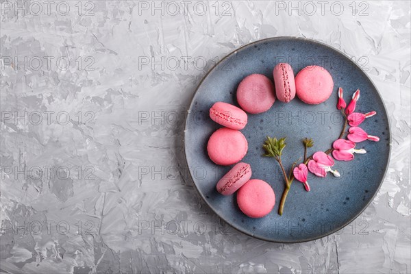 Purple and pink macaron or macaroon cakes with bleeding heart flowers on blue ceramic plate on a gray concrete background. Flat lay, top view, copy space
