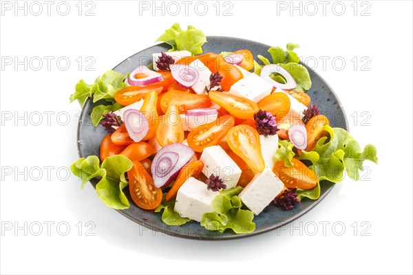 Vegetarian salad with fresh grape tomatoes, feta cheese, lettuce and onion on blue ceramic plate isolated on white background, side view, close up