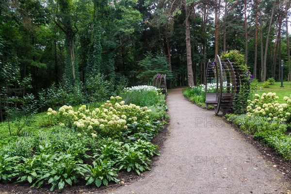 A forest park with large trees and creative benches and arches. Druskinikai, Lithuania, Europe