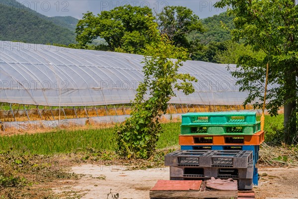 Plastic loading pallets stacked on concrete walkway beside greenhouse in mountainous countryside in South Korea