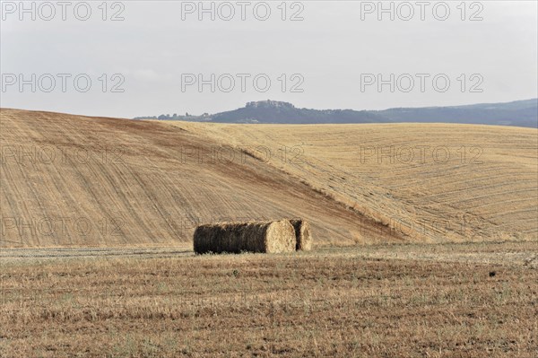 Harvested fields south of Siena, Crete Senesi, Tuscany, Italy, Europe