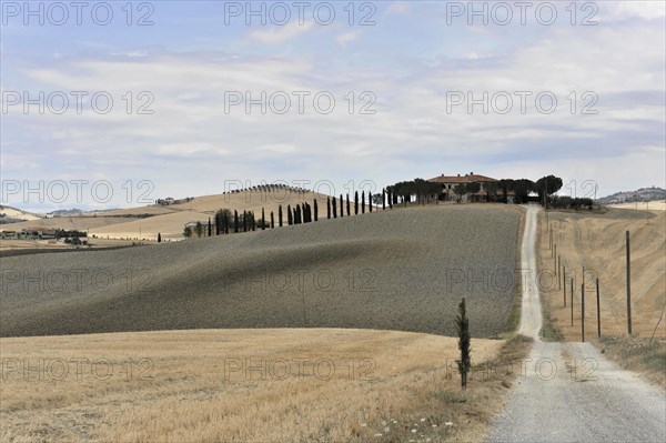 Harvested fields south of Siena, Crete Senesi, Tuscany, Italy, Europe