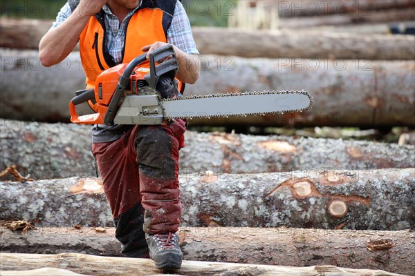 Logging work in the local forest, here in Upper Bavaria