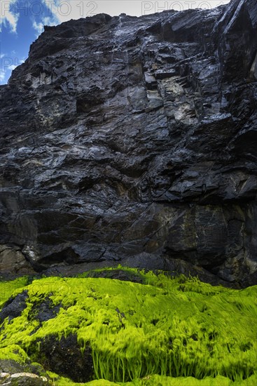 Rocky beach landscape with green algae, rocks, sea, Atlantic coast, rocky coast, rock formation, travel, nature, natural landscape, Southern Europe, Carrapateira, Algarve, Portugal, Europe