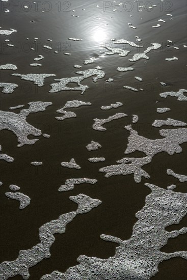 Texture of sand, water and sea foam, foam, environment, climate, nature, beach, sea, water, environmental protection, biology, North Sea, backlight, reflection, emotion, sun