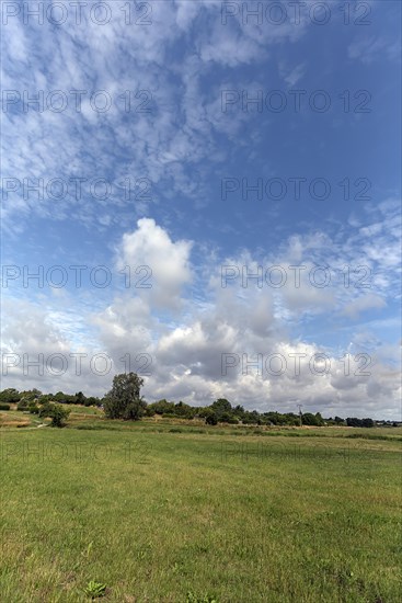 Meadow landscape near Rehna, cloudy sky, Mecklenburg-Voirpommern, Germany, Europe