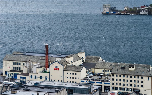 TINE, ALESUND, Geirangerfjord, Norway, Europe