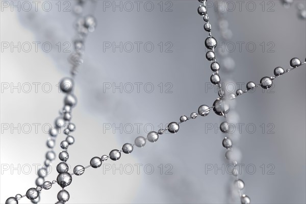 Small water droplets hang on fishing line