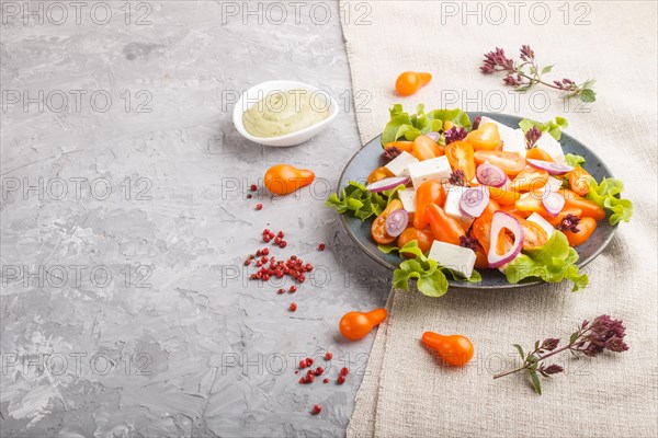 Vegetarian salad with fresh grape tomatoes, feta cheese, lettuce and onion on blue ceramic plate on gray concrete background and linen textile. side view, copy space