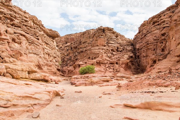 Colored canyon with red rocks. Egypt, desert, the Sinai Peninsula, Nuweiba, Dahab