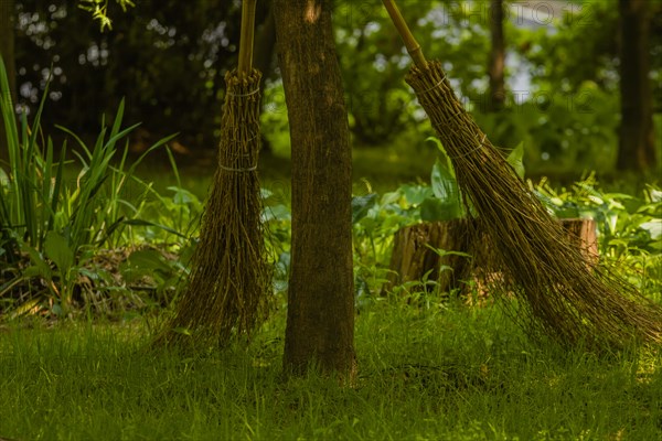 Two old style brooms made of bamboo leaning against a tree in South Korea