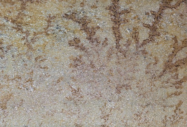 The texture of natural stone, sandstone, limestone, granite