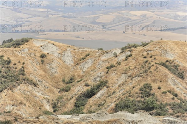 Harvested wheat field, landscape north of Sorano, Tuscany, Italy, Europe