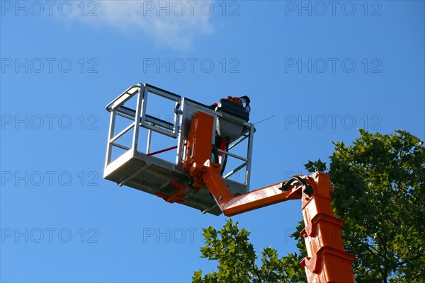 Workers on the work platform pruning or maintaining trees