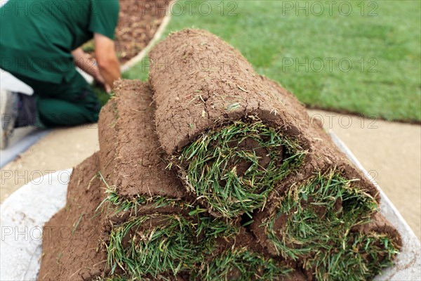 Gardener lays sod