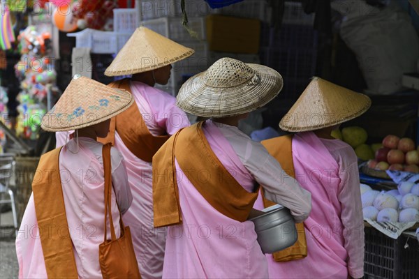 Buddhist nuns going begging, Mandalay, Burma, Burma, Myanmar, Asia