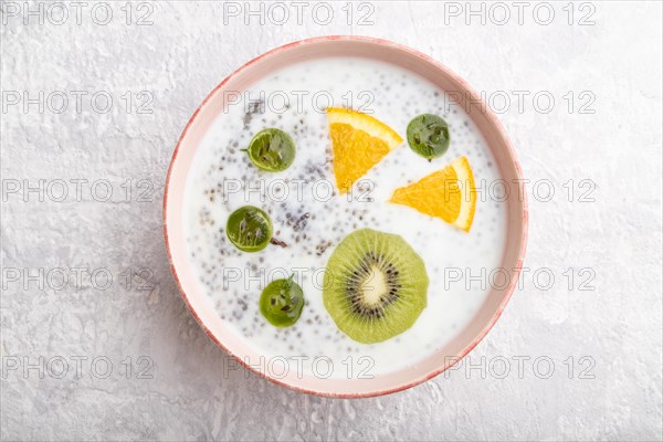 Yogurt with kiwi, gooseberry, chia in ceramic bowl on gray concrete background. top view, close up
