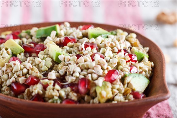 Salad of germinated buckwheat, avocado, walnut and pomegranate seeds in clay plate on white wooden background. Side view, close up, selective focus