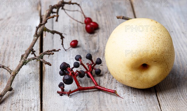 Branches with red berries and pear on a rustic wooden background. stillife