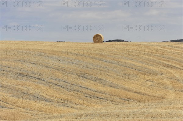 Harvested fields south of Siena, Crete Senesi, Tuscany, Italy, Europe