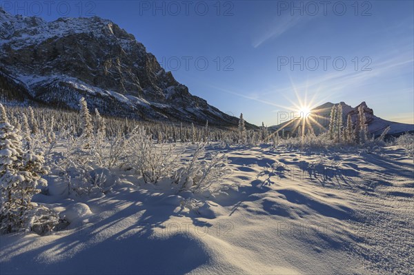 Winter landscape in front of mountains, sunrise, backlight, sun star, Brooks Range, Alaska, USA, North America