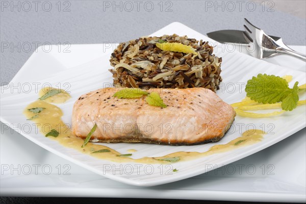 Southern German cuisine, fillet of Dreisam salmon with wild rice and lemon sauce, salmon fillet, healthy eating, decoration, lemon peel, herbs, lemon balm, food plate, fish cutlery, appetising, food, studio, fish dish, cooking, Germany, Europe