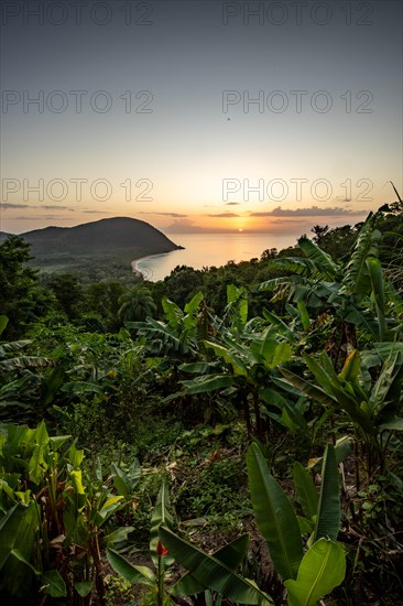 View from a mountain to a secluded bay with a sandy beach and mangrove forest. The sun rises over the sea and bathes the surroundings in a golden light. Grande Anse beach, Basse Terre, Guadeloupe, French Antilles, Caribbean, North America