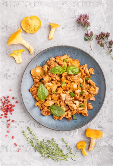 Fried chanterelle mushrooms with basil and spice herbs on gray concrete background. Top view, flat lay, close up