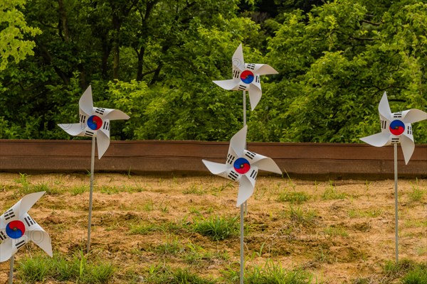 White pinwheels with Korean flag design stuck in ground in front of wooden wall with trees in background at public park in South Korea