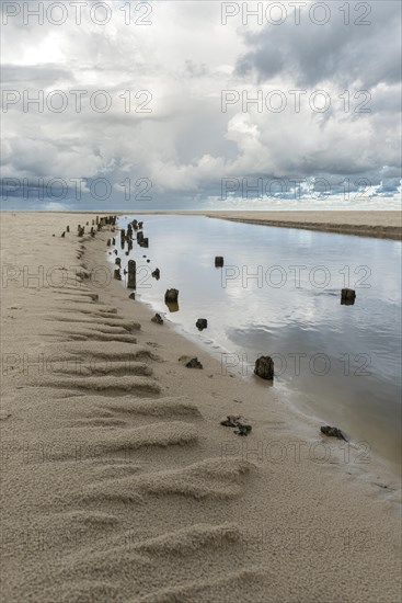 Mouth of the Henne Molle A into the North Sea, Henne, Region Syddanmark, Denmark, Europe