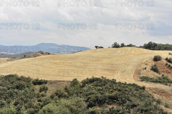 Harvested wheat field, landscape north of Sorano, Tuscany, Italy, Europe