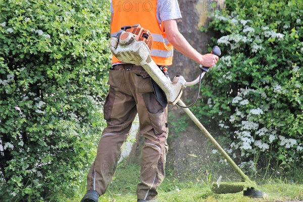 Green maintenance, landscape conservation (Kaiserslautern, Rhineland-Palatinate)