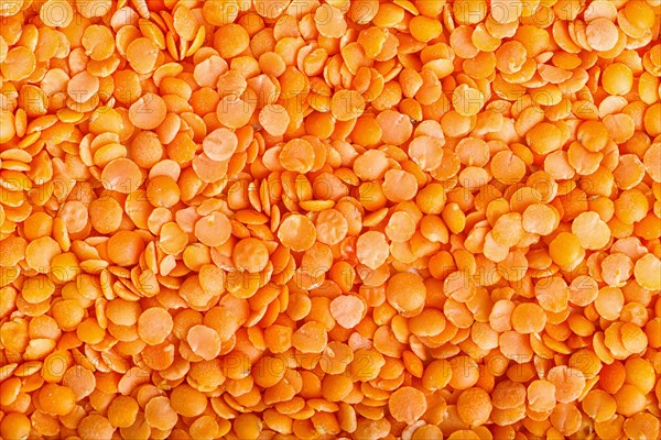Texture of red lentils. Top view