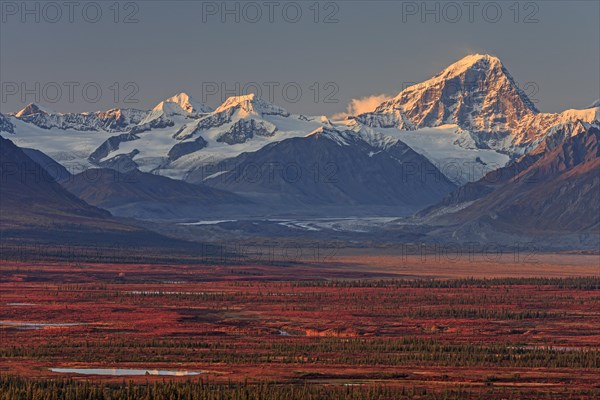 Autumn coloured tundra in front of mountains, Denali Highway, Alaska Range, Alaska, USA, North America