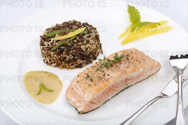 Southern German cuisine, fillet of Dreisam salmon with wild rice and lemon sauce, salmon fillet, healthy eating, decoration, lemon peel, herbs, lemon balm, food plate, fish cutlery, appetising, food, studio, fish dish, cooking, Germany, Europe