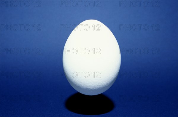 Closeup of one single henÂ´s egg, chicken egg