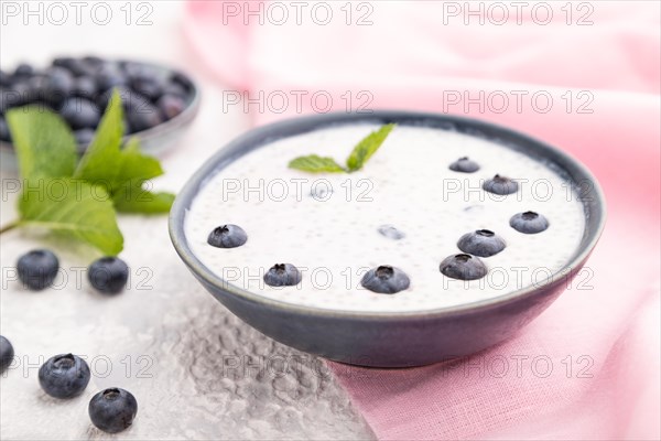 Yogurt with blueberry in ceramic bowl on gray concrete background and pink linen textile. Side view, close up, selective focus