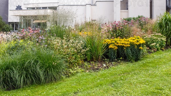 Complex flower bed of perennial plants in the city park. Druskininkai, Lithuania, Europe