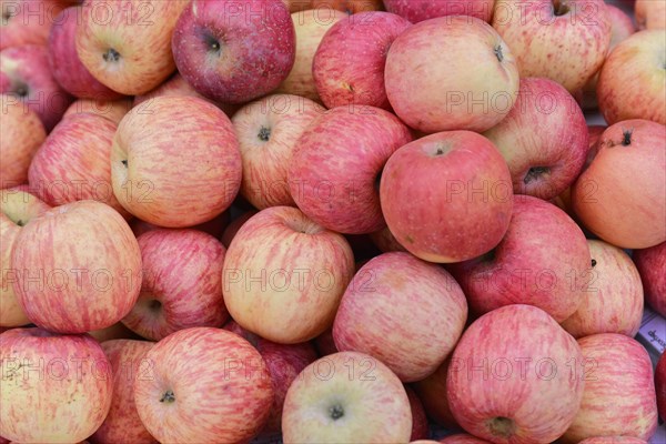 Apples on a market in Mandalay, Myanmar, Asia