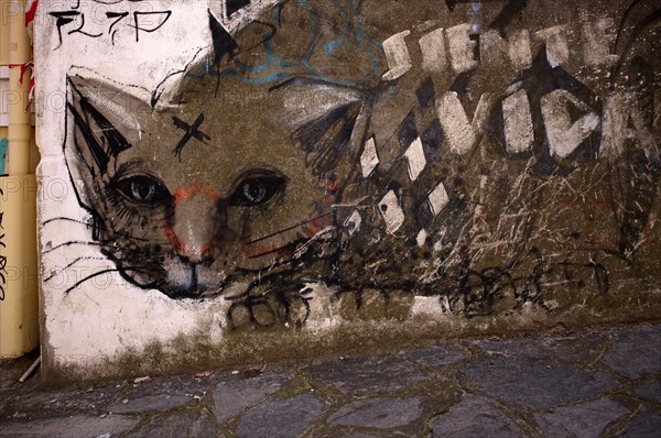 Graffiti, Cat, Old Town, Upper Town, Thessaloniki, Macedonia, Greece, Europe