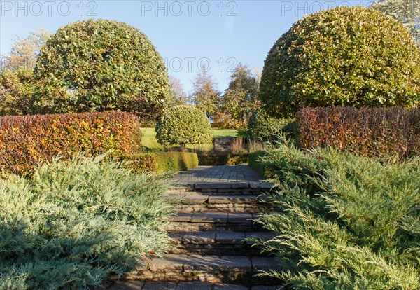 Cottage garden with stone stairs and retaining wall, Modern landscape design