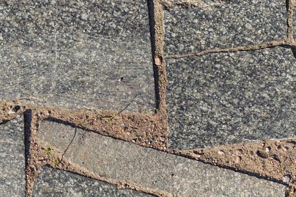 Texture of a boulder with moss and lichen