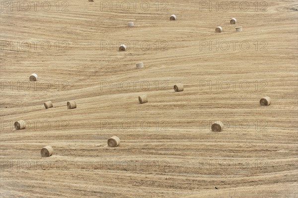 Harvested fields south of Siena, Crete Senesi, Tuscany, Italy, Europe