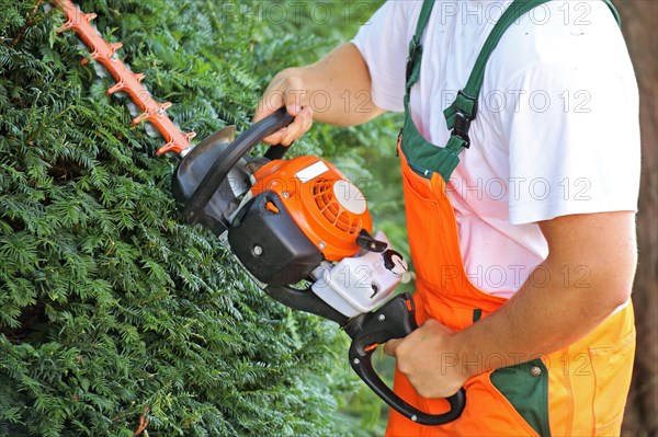 Man cutting hedges and greenery