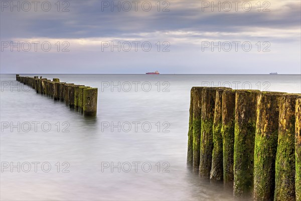 Groynes covered with green algae in the soft light of the morning on the Baltic Sea as a long exposure. Ships can be seen in the background