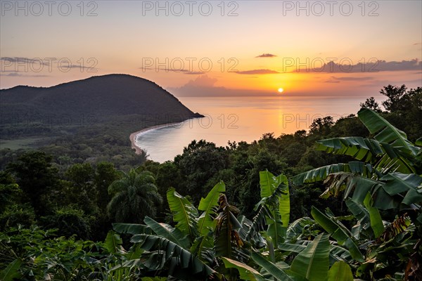 View from a mountain to a secluded bay with a sandy beach and mangrove forest. The sun rises over the sea and bathes the surroundings in a golden light. Grande Anse beach, Basse Terre, Guadeloupe, French Antilles, Caribbean, North America