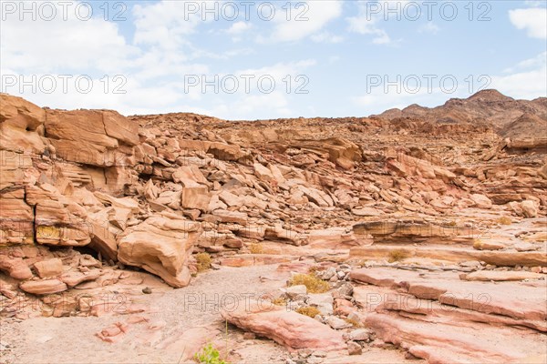 Colored canyon with red rocks. Egypt, desert, the Sinai Peninsula, Nuweiba, Dahab